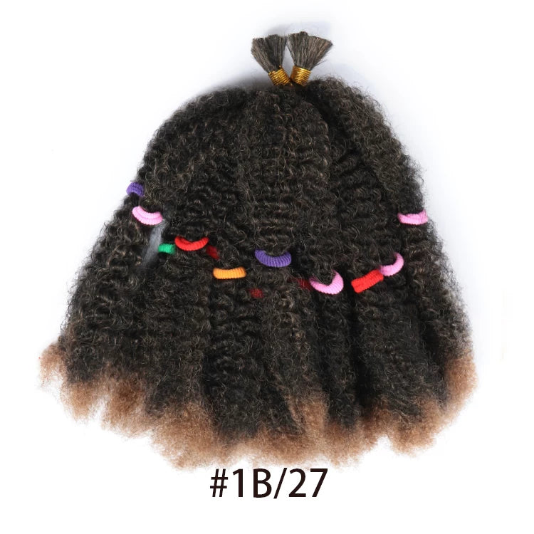 Marley Afro Kinky Crochet braids Twist Marley Braid Hair