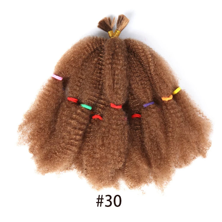 Marley Afro Kinky Crochet braids Twist Marley Braid Hair