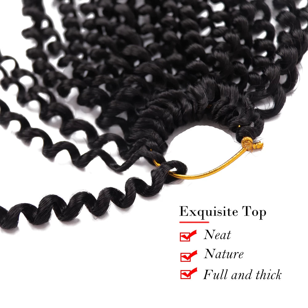 PassionTwist Hair Water Wave Crochet Braids HairBraiding